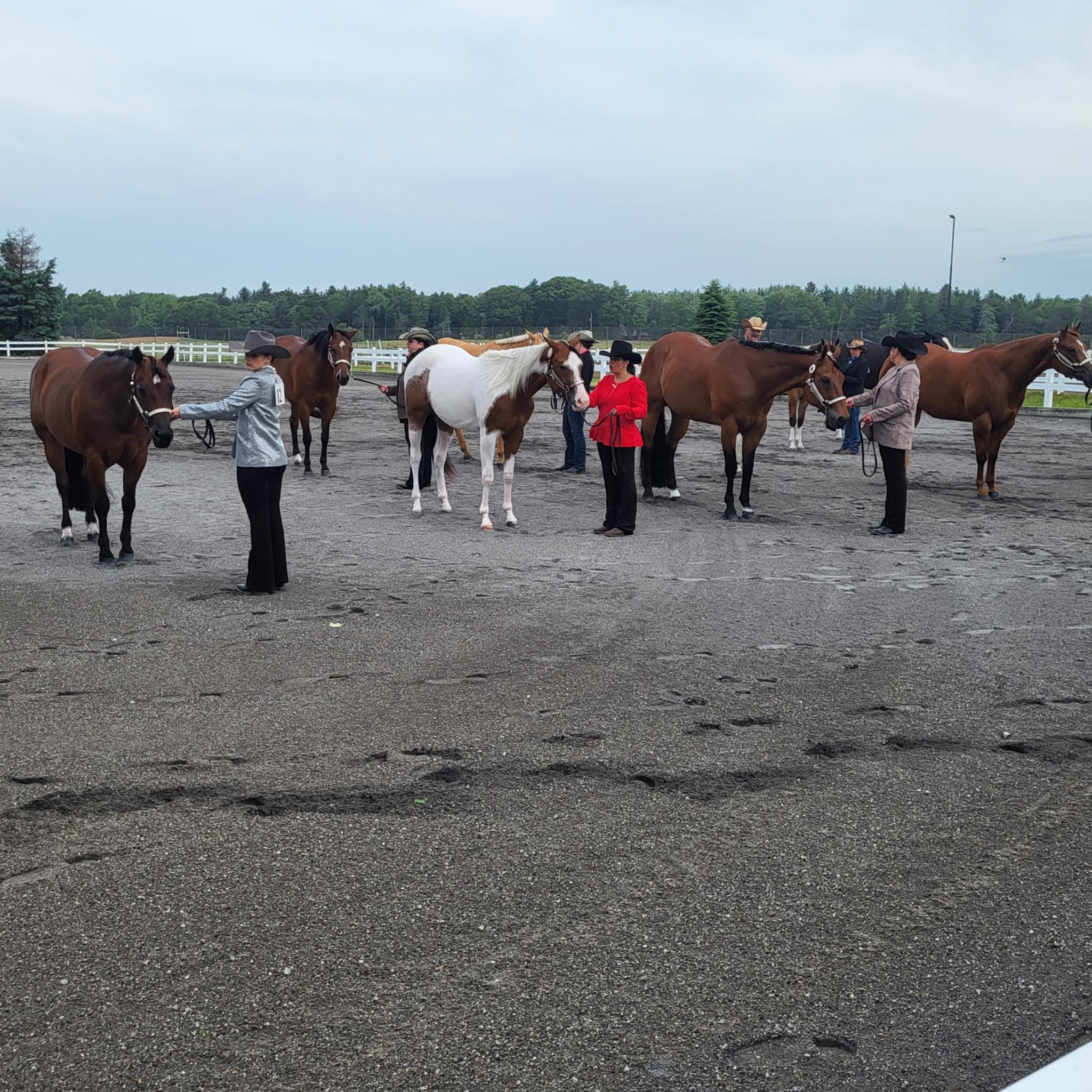 Ranch facilities and training arena