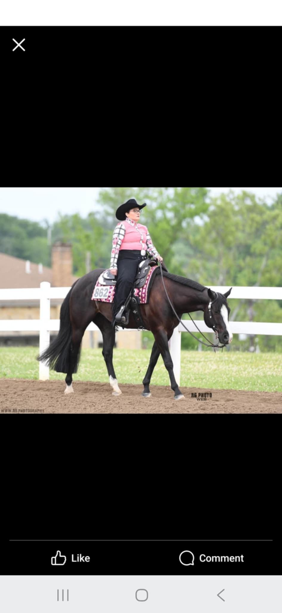 Premium Horse Boarding